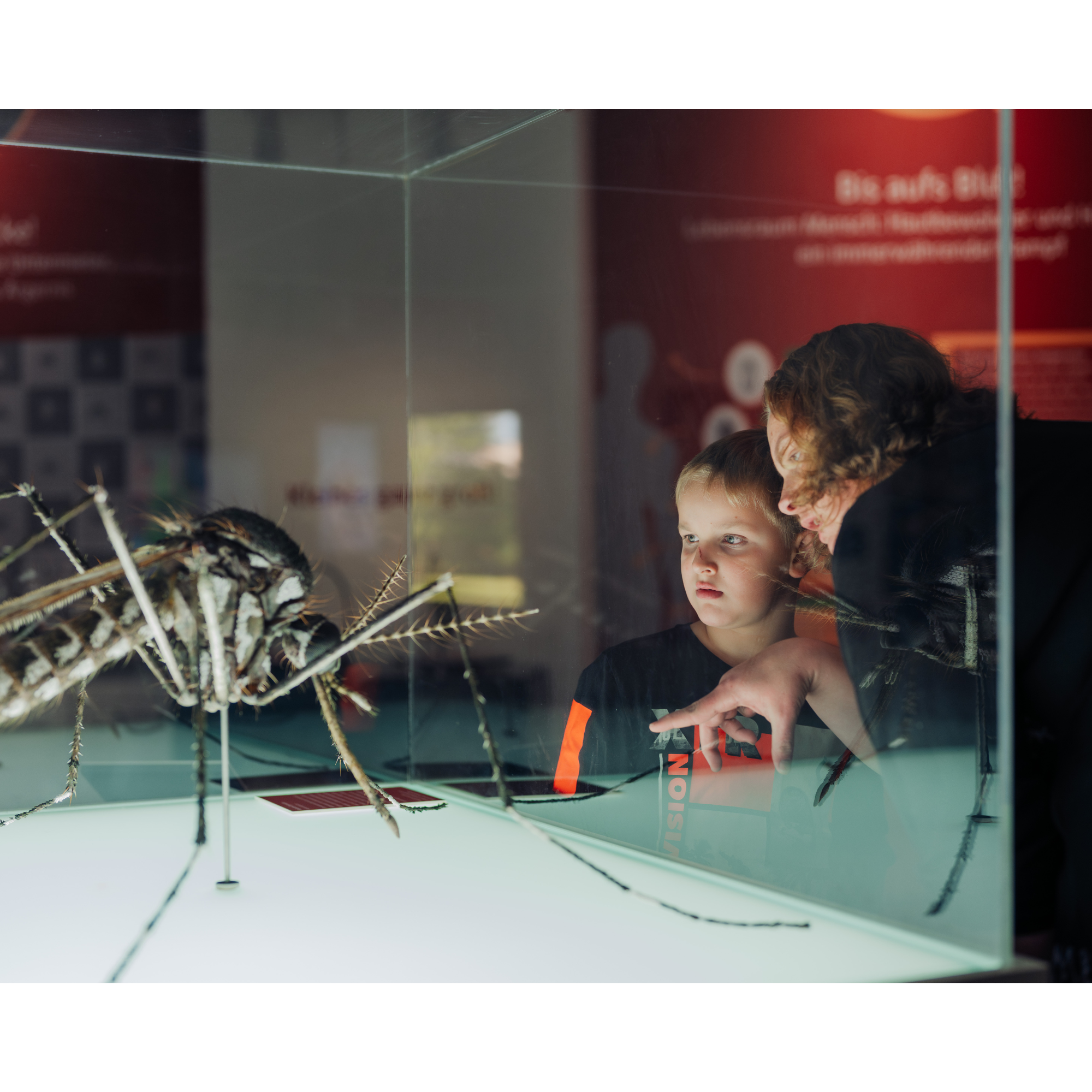 Museumsführung für ALLE: Sonderausstellung „Mistviecher!?“