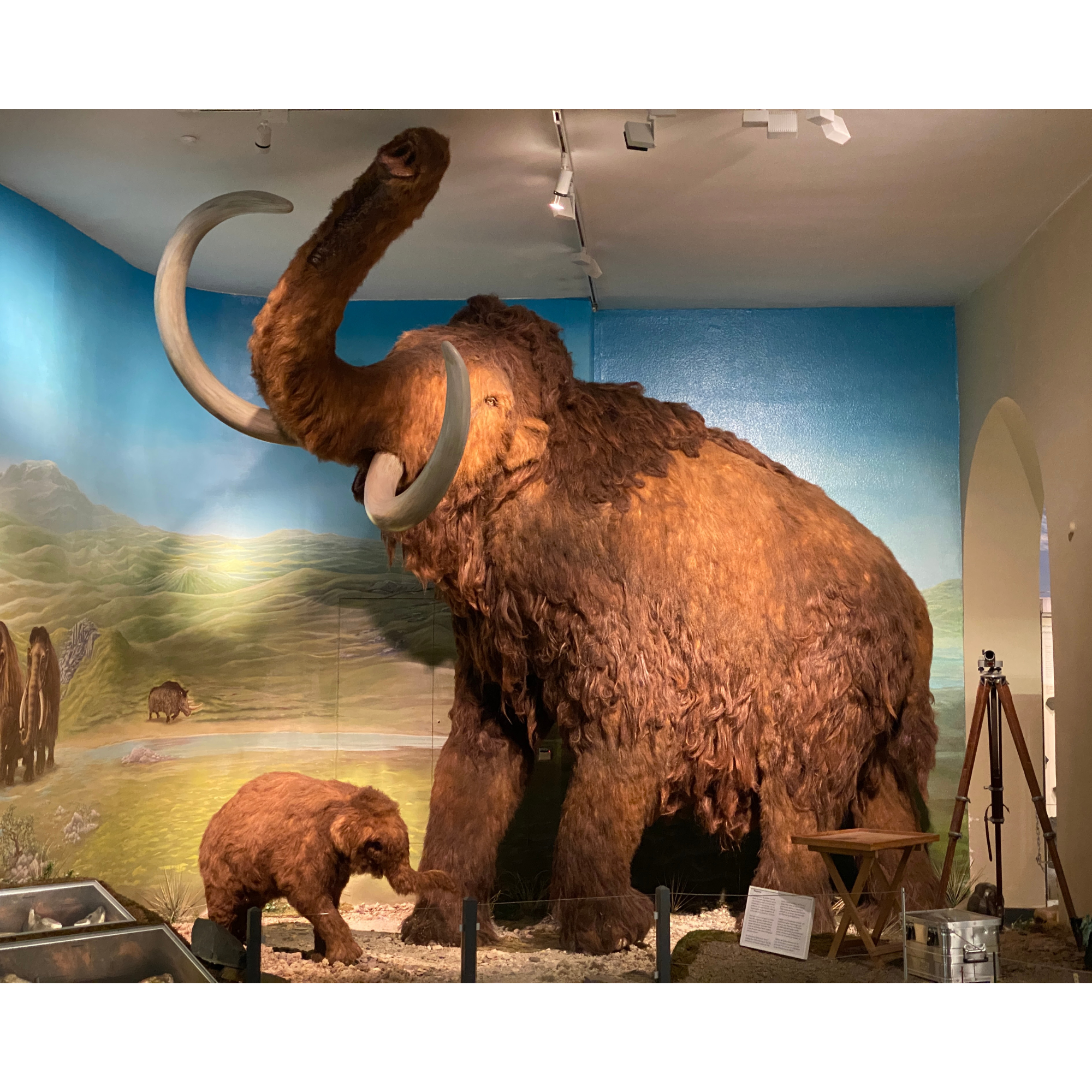 Guided family tour in English: Stone Age life in the Ice Age