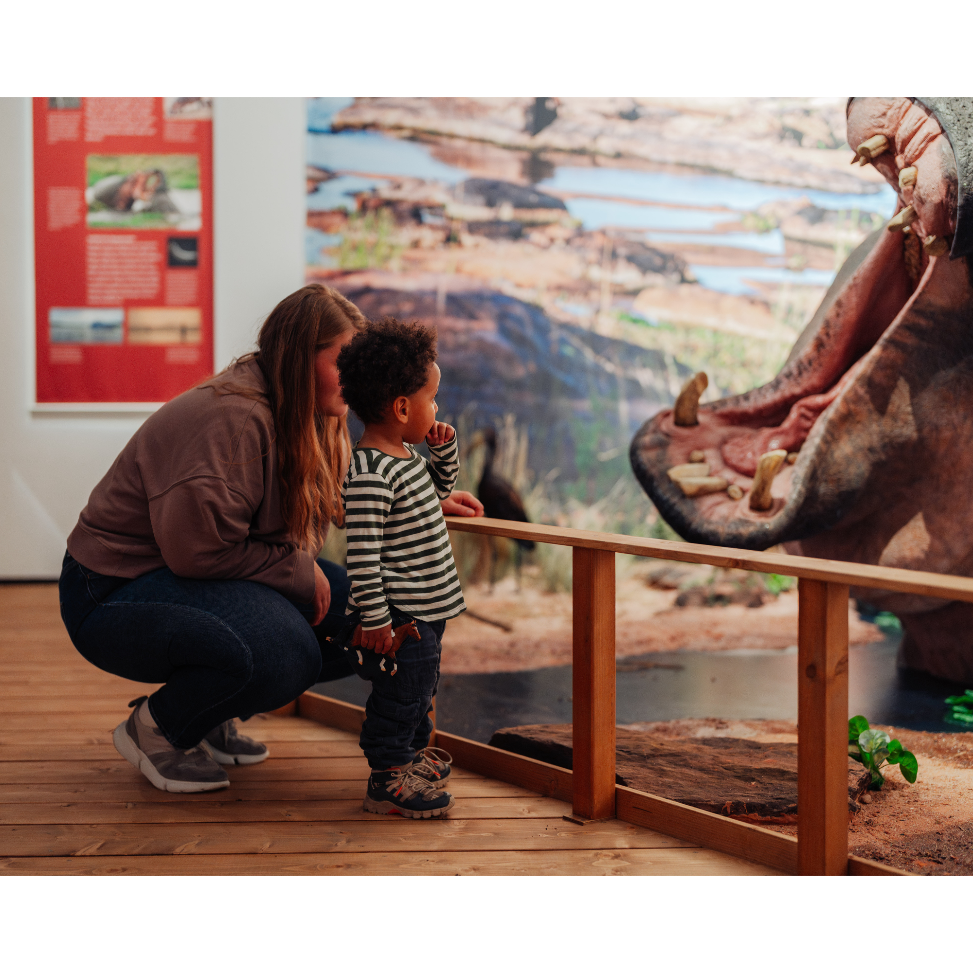 Guided tour in English: Special Exhibition „Mistviecher!?“